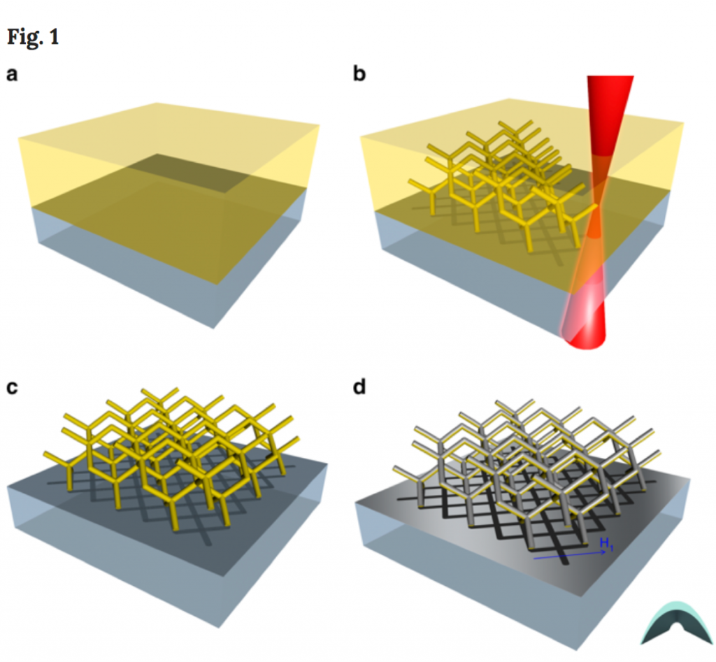 lattice3D